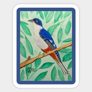 Cuban trogon in the jungle Sticker